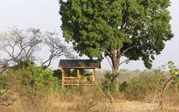 Wildlife viewing platform at Mole National Park